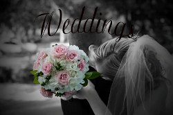 weddinglink